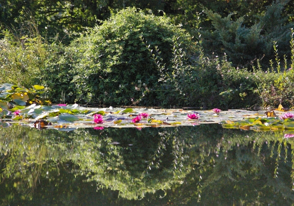 Les Jardins d'Eau de Carsac-Aillac, en Périgord-Dordogne