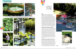 Les Jardins d'Eau watergardens dordogne perigord périgord sarlat carsac, Les Jardins d'Eau, 8 kilometres from Sarlat in Périgord: lotus, water lilies, creation of water gardens for individuals or companies, Gallo-Roman site... another way of discovering the garden!